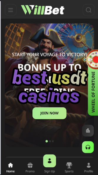 Best USDT Casinos - Tether Gambling Sites-casinoorder.vip